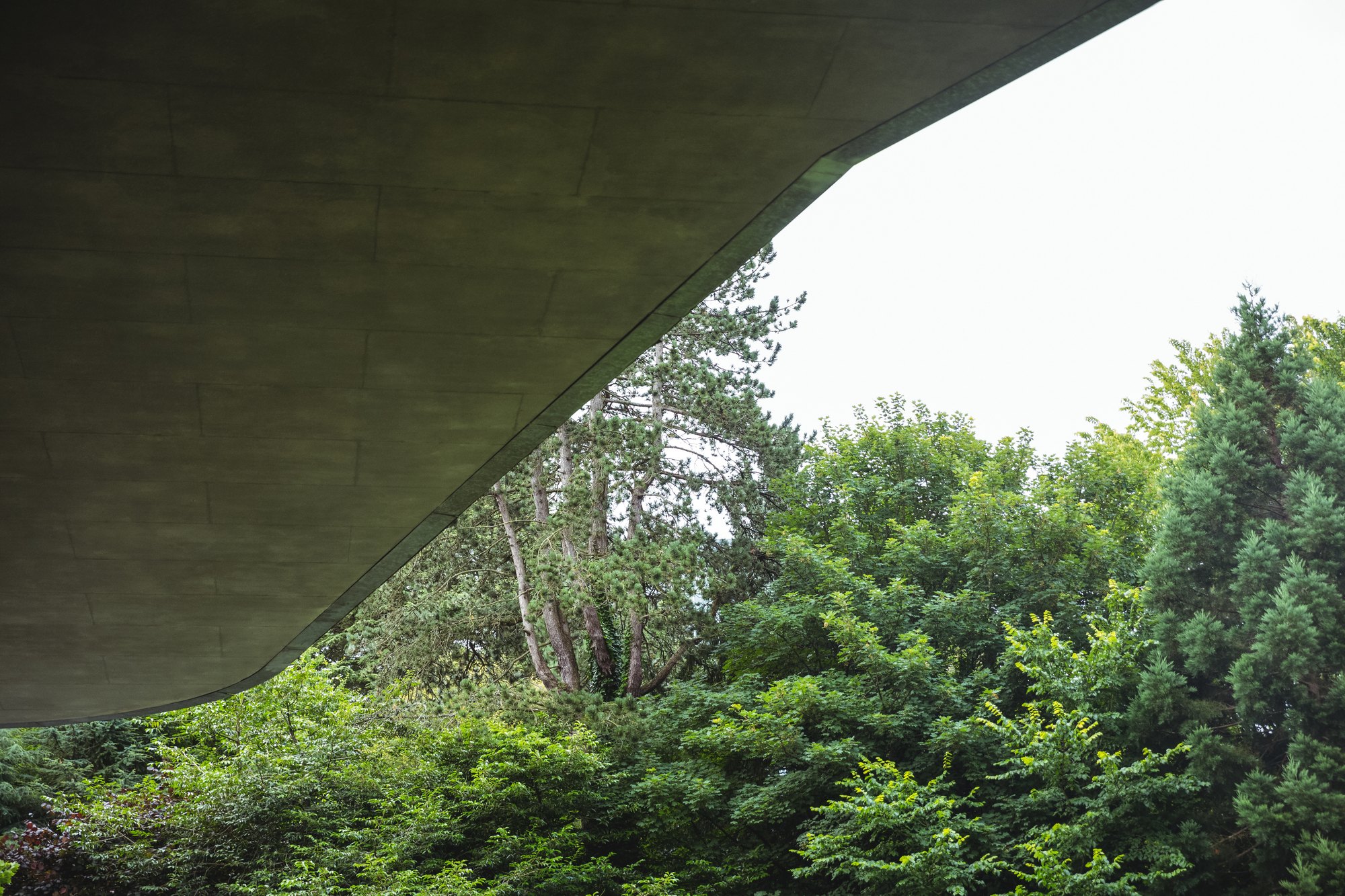 Bâtiment et arbres en contre-plongée, végétation urbaine